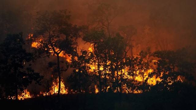 산불이 발생하면 불길만큼이나 연기에도 주의해야 한다|출처: 게티이미지뱅크