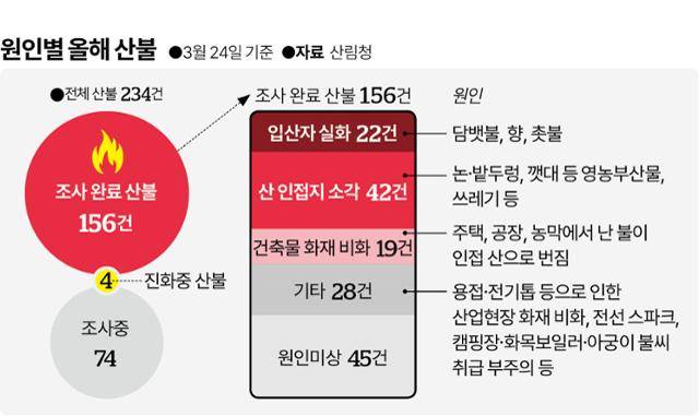 올해 발생 산불 원인별 분석. 그래픽=이지원 기자