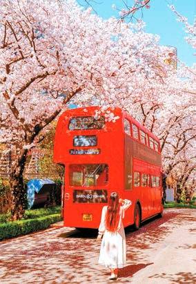 대구 테마파크 이월드의 사진 명소인 ‘빨간 2층 버스’.