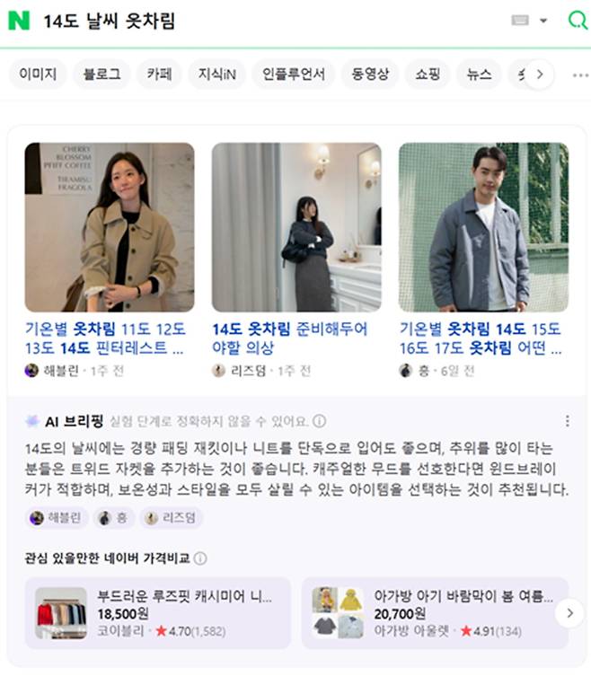 사진=네이버 인공지능(AI) 검색 서비스 'AI 브리핑' 갈무리