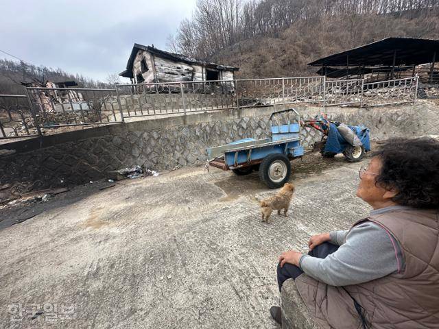 27일 경북 안동 길안면 대곡1리에서 주민 서복래씨가 전소된 집을 바라보고 있다. 안동=강지수 기자