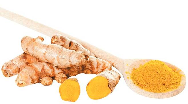 출처: GettyImagesBank