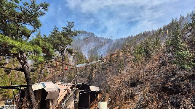 송광면 30일 산불 발생 현장. 순천시 제공