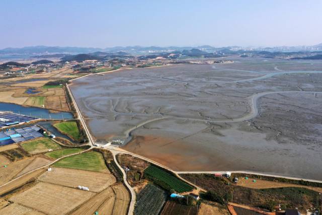 전남 신안군 압해읍 인근 갯벌 전경. 연합뉴스