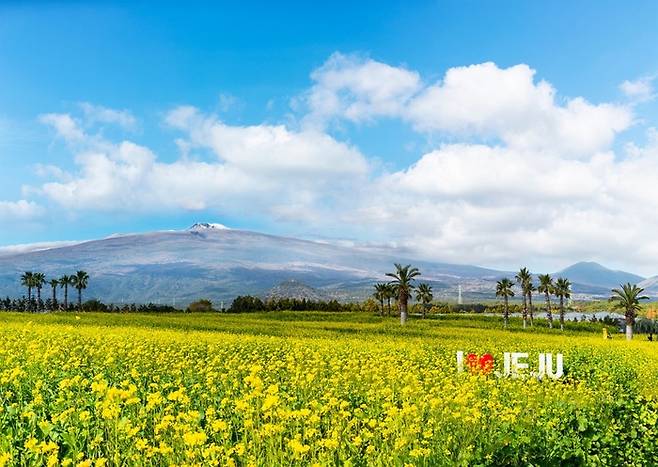 ‘스프링 바이브스’ 패키지 / 사진=기린빌라리조트