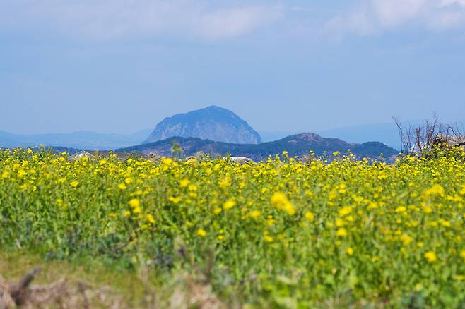 가파도 / 사진=제주신화월드