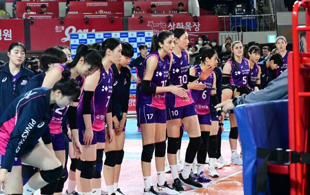 흥국생명 아본단자 감독./KOVO