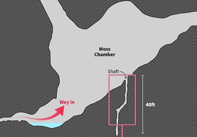 닐 모스가 끼인 동굴 틈새