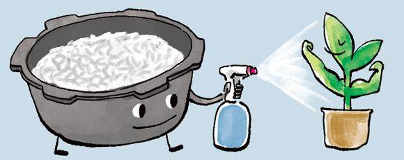 일러스트=김성규