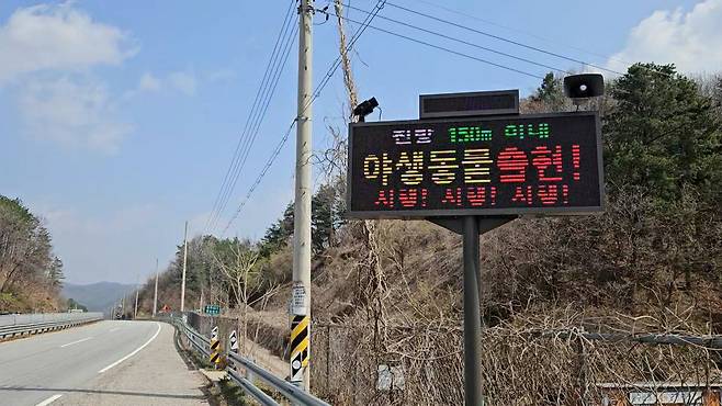 양평군 6번 국도변에 설치된 LED전광판을 통해 야생동물 감지 현황을 표시하고 있다. 포스코DX 제공