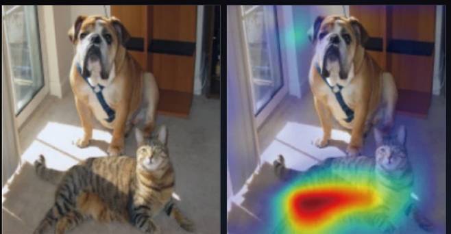 사이버불링을 탐지하는 AI의 역할이 중요해지면서 AI의 오류를 줄이고 사이버불링으로 탐지한 근거를 사용자와 투명하게 공유하기 위한 '설명 가능한 AI(XAI)'가 개발되고 있다. 사진은 웹상의 이미지를 기계 학습한 데이터에 따라 분류, 판단하고 그 근거를 제시하는 XAI 모델 중 하나인 '그래드 캠(Grad-CAM)'의 예시다. Selvaraju et al.제공