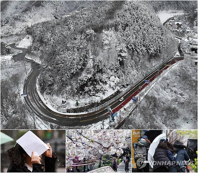 변화무쌍 4월 주말 날씨 (서울 화천=연합뉴스) 이진욱 양지웅 신현우 서대연 기자 = 화창한 봄 날씨를 기대했지만, 강한 한기와 함께 남하한 북쪽 저기압의 영향으로 전국이 불안정한 대기권의 영향에 놓인 13일 전국은 때아닌 눈과 우박 그리고 강풍에 시달렸다.
강원 화천군 광덕산 일대가 때아닌 폭설로 하얀 눈으로 덮여 있다(위 사진). 갑작스럽게 우박이 내린 명동 인근에서 한 시민이 종이로 머리를 가린 채 길을 지나고 있다(아랫줄 왼쪽부터). 이날 오전 서울 여의도 윤중로를 찾은 시민이 쌀쌀해진 날씨 속에 봄꽃을 즐기고 있다. 강한 바람이 분 서울 서초구의 한 거리에서 시민들이 우산 뒤로 몸을 숨긴 채 길을 걷고 있다. 2025.4.13 photo@yna.co.kr