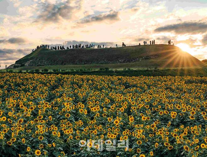 연천에 소재한 호로고루성.(사진=경기도 제공)