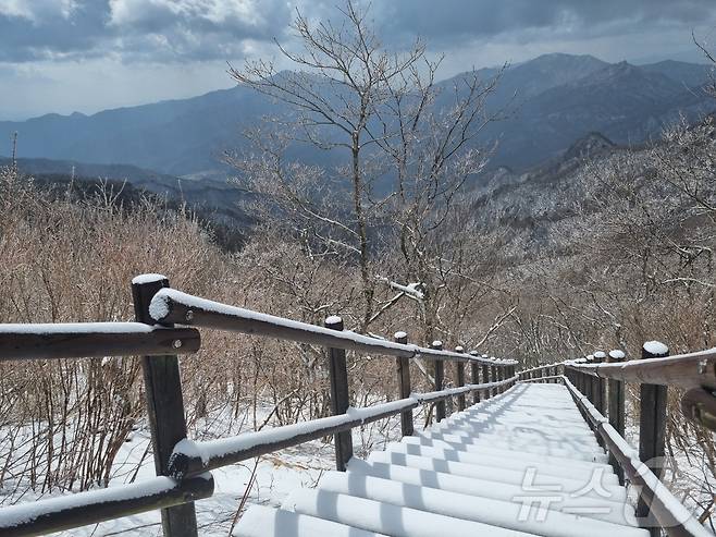 지난 13일 전북자치도 무주덕유산국립공원에 눈이 쌓여있다.(덕유산국립공원 제공. 재판매 및 DB금지) 2025.4.14/뉴스1