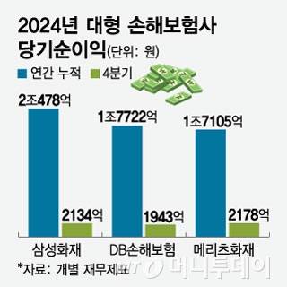 2024년 대형 손해보험사 당기순이익/그래픽=임종철