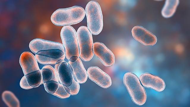 과민성 대장증후군 환자는 올바른 생활 습관 관리가 필수적이다|출처: 클립아트코리아