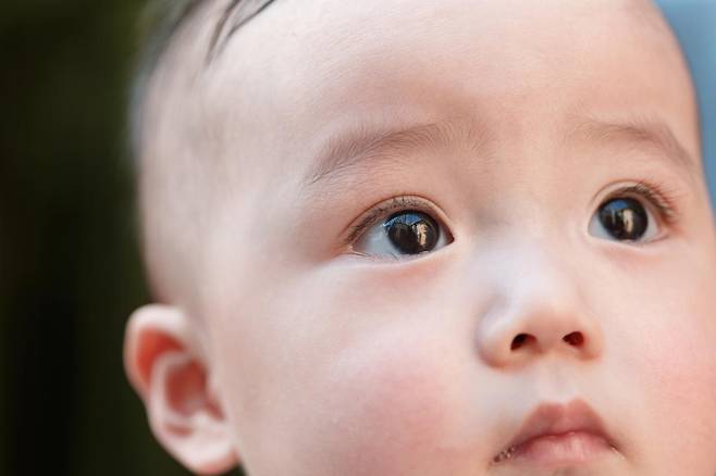 사진은 기사 내용과 직접적인 관련이 없음. 사진=게티이미지뱅크