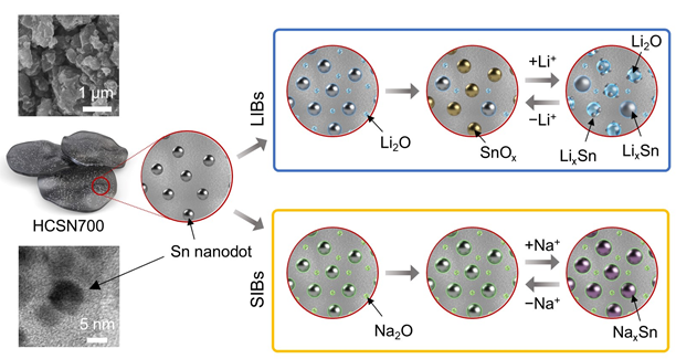 하드카본-주석 나노 입자 복합 음극의 리튬이온전지와 나트륨이온전지에서의 거동. 포스텍 제공.