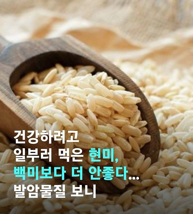 건강하려고 일부러 먹은 현미, 백미보다 더 안좋다... 발암물질
