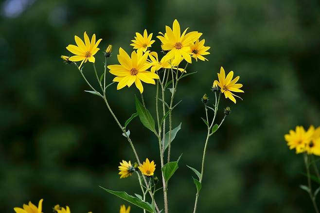 클립아트코리아 제공