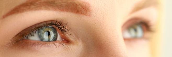 게티이미지뱅크.