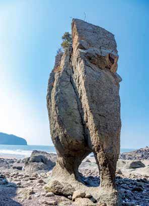 해변을 걷다 코끼리 모양의 화산암괴를 만난다. 암괴의 이름은 역시나 ‘코끼리바위’다.