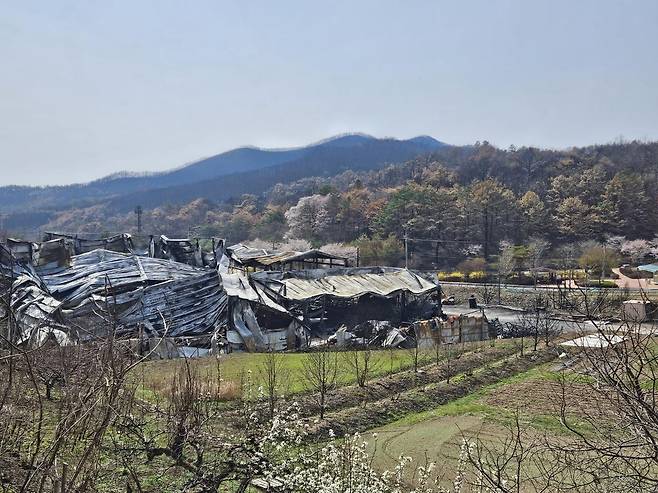 "봄은 왔지만" (의성=연합뉴스) 김선형 기자 = 산불로 폐허가 된 경북 의성군 지난 16일 전경. 2025.4.16