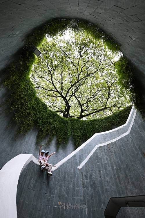 ‘인증샷 성지’로 떠오른 포트 캐닝 공원의 트리 터널.