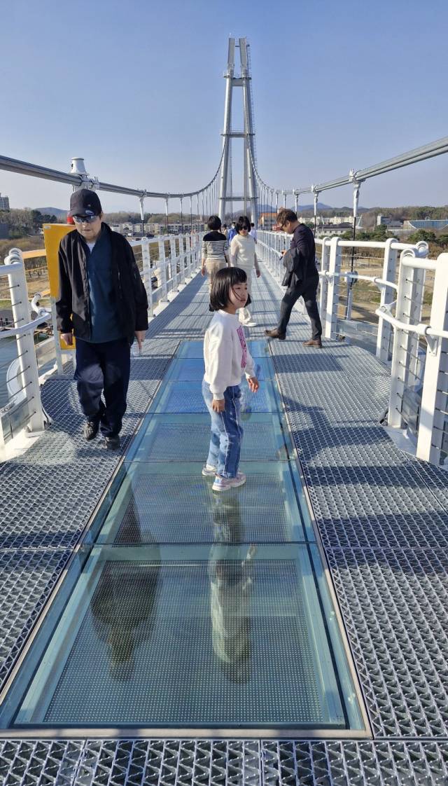12일 오후 여주 남한강 출렁다리에서 시민들이 미디어글라스를 밟고 있다. 사진 = 손대선 기자