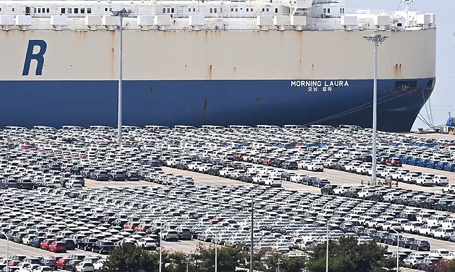 21일 경기 평택항 자동차 전용부두에 선적을 기다리는 수출용 차량이 세워져 있다. 뉴시스