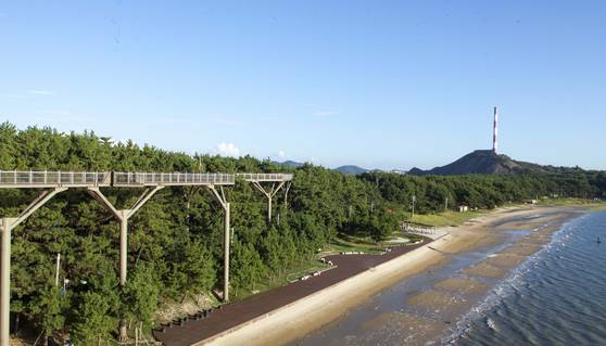 서천의 주요 관광지 중 한 곳인 스카이워크와 멀리 보이는 제련소 굴뚝. 연합뉴스