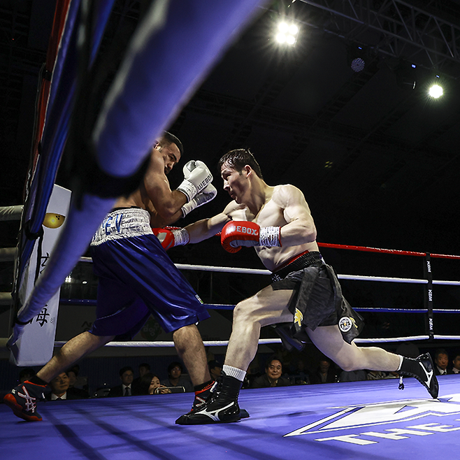 예누리가 2025년 4월 경기도 남양주체육문화센터 동양태평양복싱연맹 미들급 실버 챔피언결정전에서 잠시트 예키브자노비치 릭시예프를 공격하고 있다. 사진=FINAL FLASH 박종혁 기자
