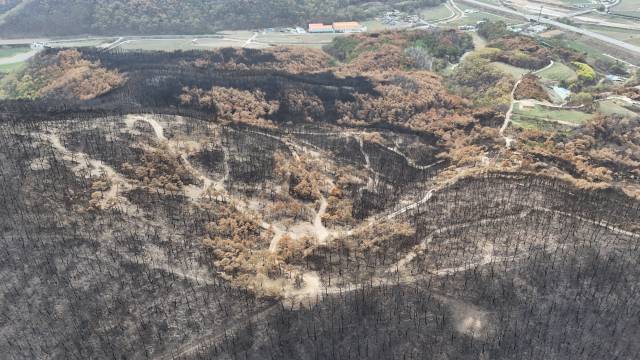 ▲지난 4월19일 드론으로 촬영된 경북 의성군 점곡면 산불 피해 현장 모습. ⓒ정정환(지리산사람들)