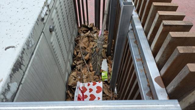 펜스 내부에는 쓰레기와 마른 나뭇잎, 담배꽁초 등이 버려져 있지만 거의 청소가 되질 않고 있다. 김현우 기자