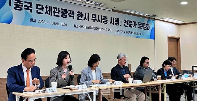 법무부, 문화체육관광부, 외교부 주최로 지나나 17일 영등포구 G밸리 원광디지털대센터에서 열린 ‘중국 단체관광객 한시 무사증 시행’ 전문가 토론회 모습 (사진=이선우 기자)