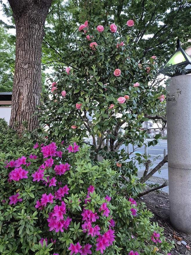 7fed8273b58669fe51ee8ee74f857473bfc0a32488c00f7b7b71153523299d04