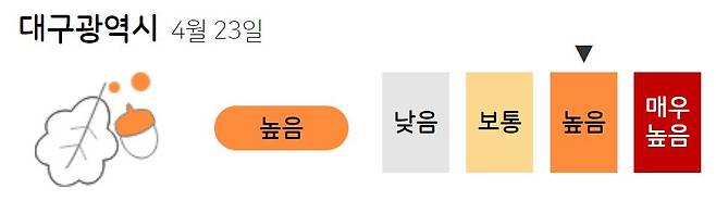 꽃가루 농도 위험지수 (출처: 기상청)