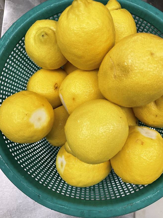 IMG_0890.jpeg 시골 레몬 사과차 만들기