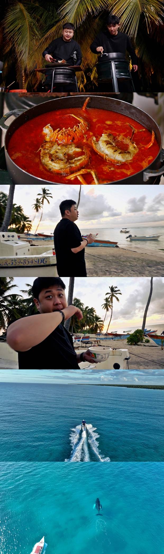 티브이데일리 포토