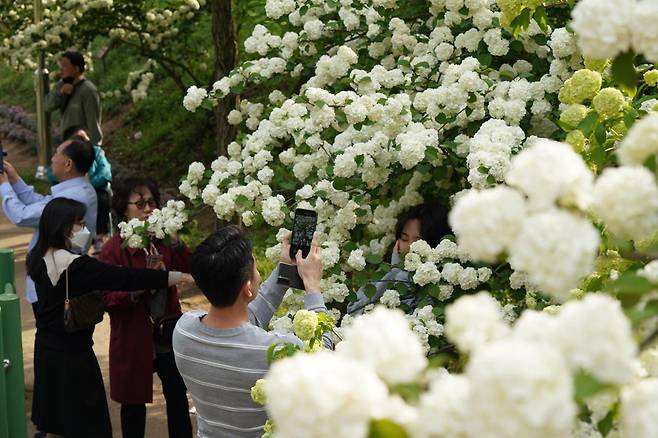 충북 청주시 문의면 옛 대통령 휴양 시설 청남대에 오면 온몸으로 봄을 즐길 수 있다. 청남대 제공