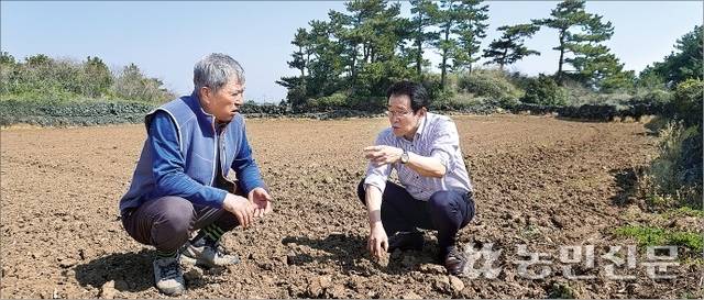김군진 제주 한경농협 조합장(오른쪽)과 강원홍씨가 지역 마늘 재배면적 감소 추세와 이에 대처하기 위한 방안을 논의하고 있다.