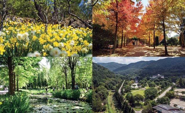 산림청은 자연에 대한 국민들의 수요와 관심에 맞춰 ‘2025년에 꼭 가봐야 할 수목원 10선’을 선정했다고 25일 밝혔다. (윗줄 왼쪽부터 시계방향으로) 화담숲, 경상남도수목원미동산수목원, 대구수목원. 산림청