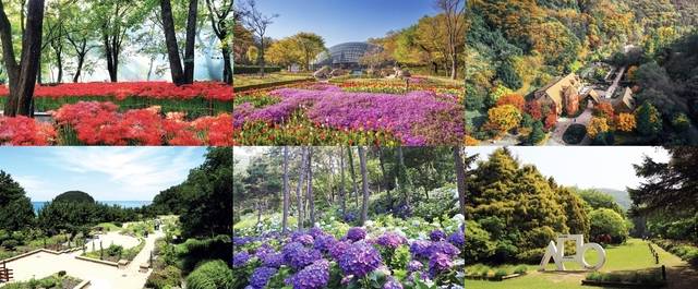 산림청은 자연에 대한 국민들의 수요와 관심에 맞춰 ‘2025년에 꼭 가봐야 할 수목원 10선’을 선정했다고 25일 밝혔다. (윗줄 왼쪽부터 시계방향으로) 기청산식물원, 신구대학교식물원, 제이든가든, 한택식물원, 포레스트수목원, 천리포수목원. 산림청