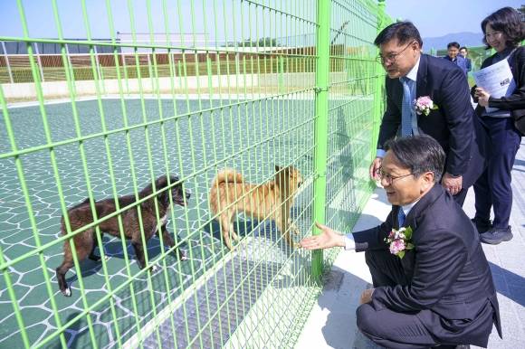 강기정 광주시장이 지난 24일 광주 북구 본촌동에 들어선 ‘광주시 동물보호센터 개소식’에 참석해 센터에서 돌보고 있는 유기견을 살펴보고 있다. 광주광역시 제공