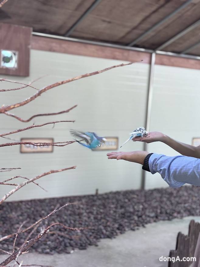 커플 관람객이 새모이를 주면서 데이트를 즐기고 있다. 황소영 기자 fangso@donga.com