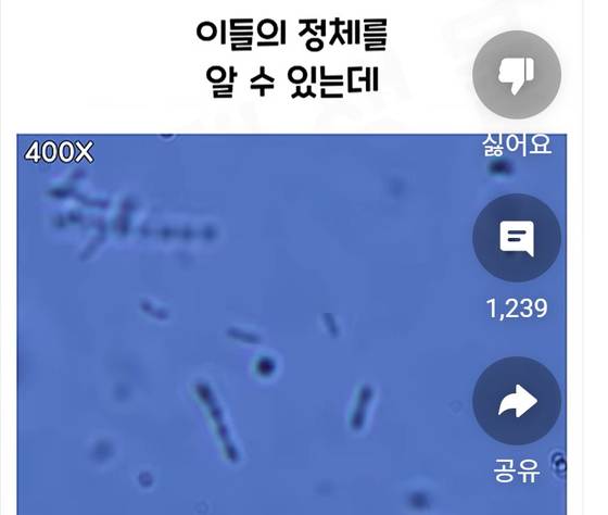 생닭을 씻은 물을 현미경으로 확대한 모습. 유튜브 화면 캡처