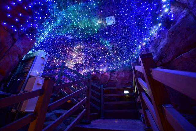 화려한 조명으로 꾸며진 ‘빛의 동굴’. 서울식물원