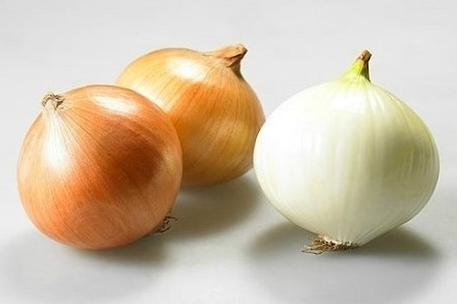 양파