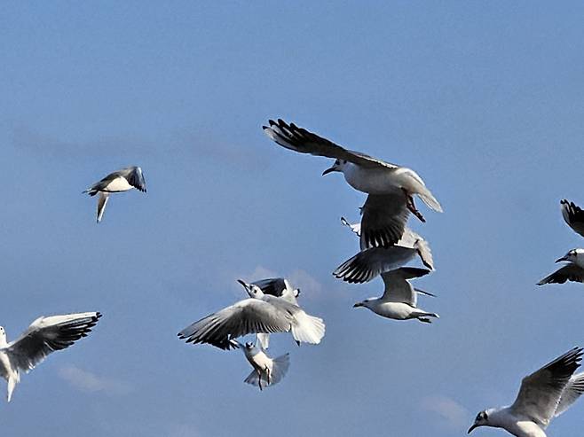 오늘날씨, 내일날씨, 주간날씨 예보 ⓒbnt뉴스= 월요일인 내일(28일) 날씨는 중국 북부지방에서 서해상으로 이동하는 고기압의 가장자리에 들어 전국이 구름 많다가 아침부터 맑아지겠다. 기상청 내일날씨 예보에 따르면 기온은 평년(최저 5~11도, 최고 18~23도)과 비슷하거나 조금 높겠다. 아침 최저기온은 6~14도, 낮 최고기온은 17~24도가 되겠다. 바람이 강하게 부는 곳이 있겠다.