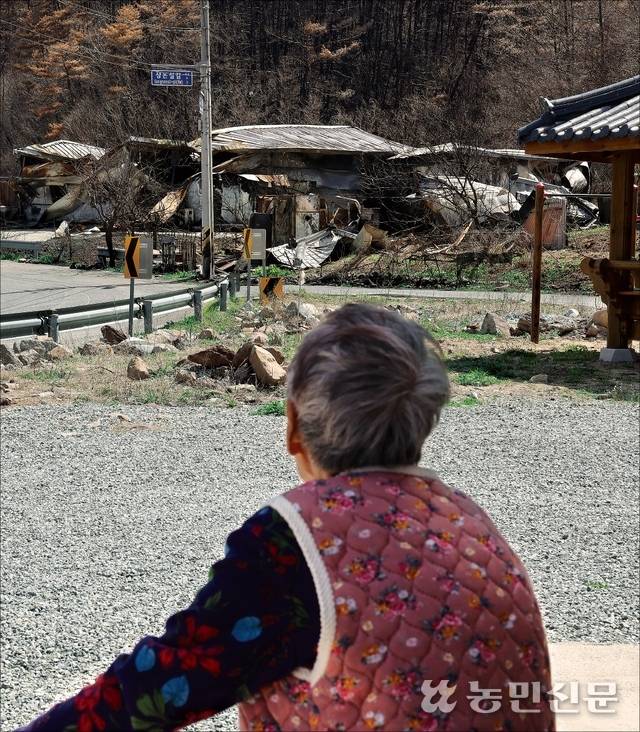 타버린 집을 한참 동안 바라본다. 어떤 마음일지 겪지 않은 이는 모른다.